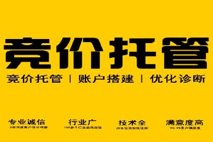 SEM托管服务助力企业实现快速转化案例